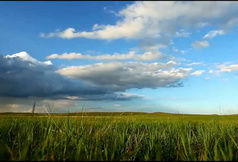 草原视频,广袤无垠的自然画卷