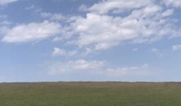 草原视频,广袤无垠的自然画卷